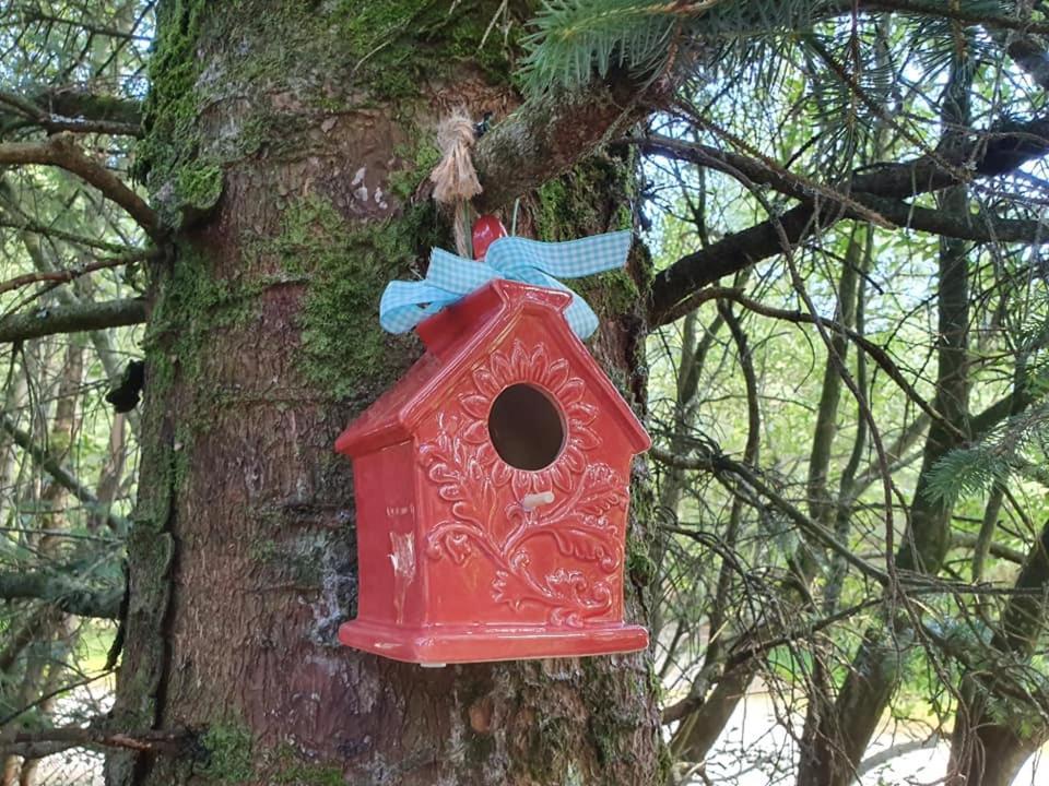 Forest Lodge Log Cabin - Ireland Баликонъл Екстериор снимка